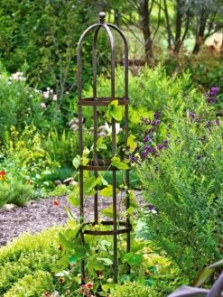 Jardin Bird Cage Support, 26" -Plant Supports Shop GS39529 01 tif