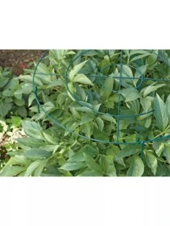 Grow Through Supports, Set Of 3 -Plant Supports Shop GS40172 01 1