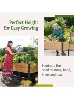 Self-Watering Elevated Planter Box, 2' X 8' 20 Self-Watering Elevated Planter Box, 2' X 8' -Plant Supports Shop b00eow8fhu raisedbed benefits