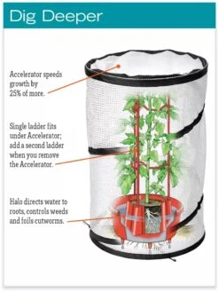 Tomato TLC Kits, Set Of 3 -Plant Supports Shop hiw 8594214 jpg