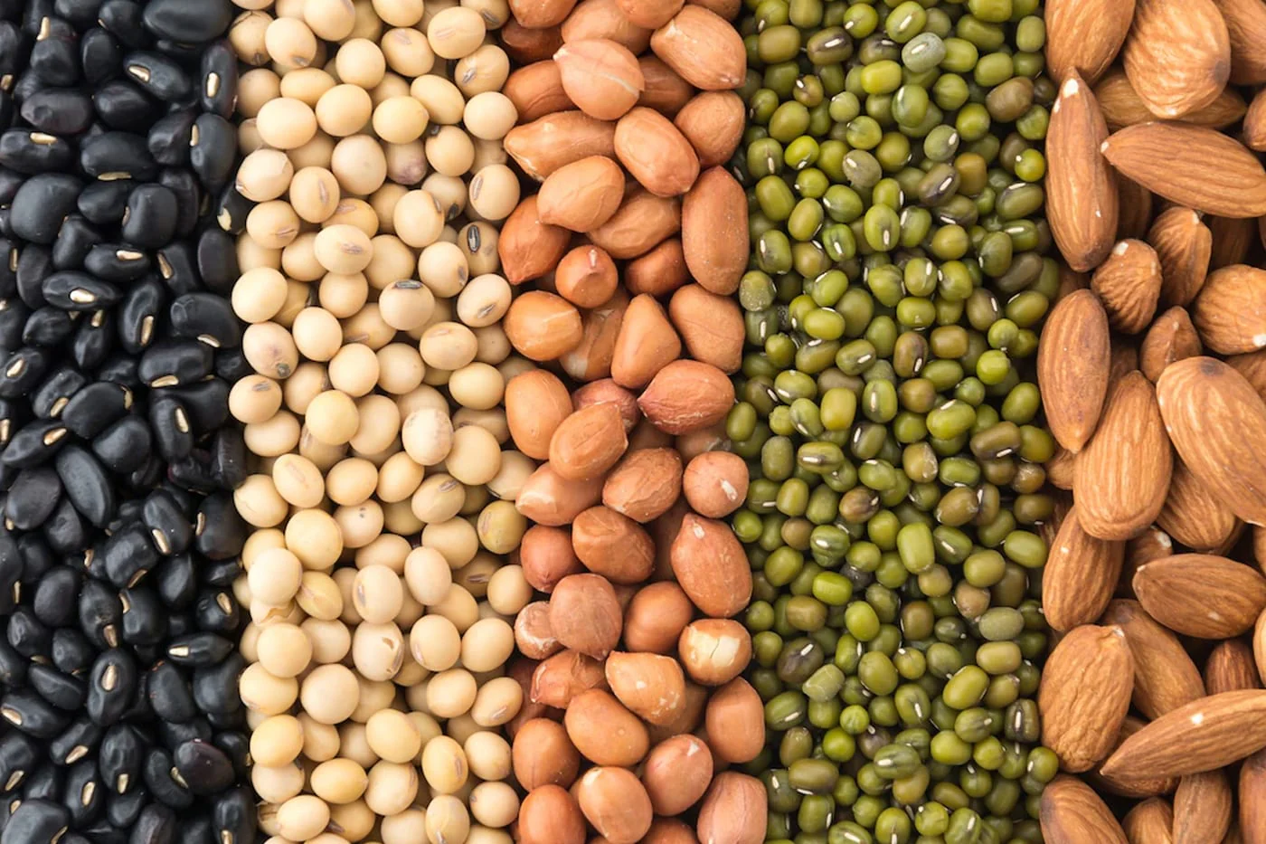 Plant Supports Shop -Plant Supports Shop Gardeners Guide to Buying Vegetable Seeds min