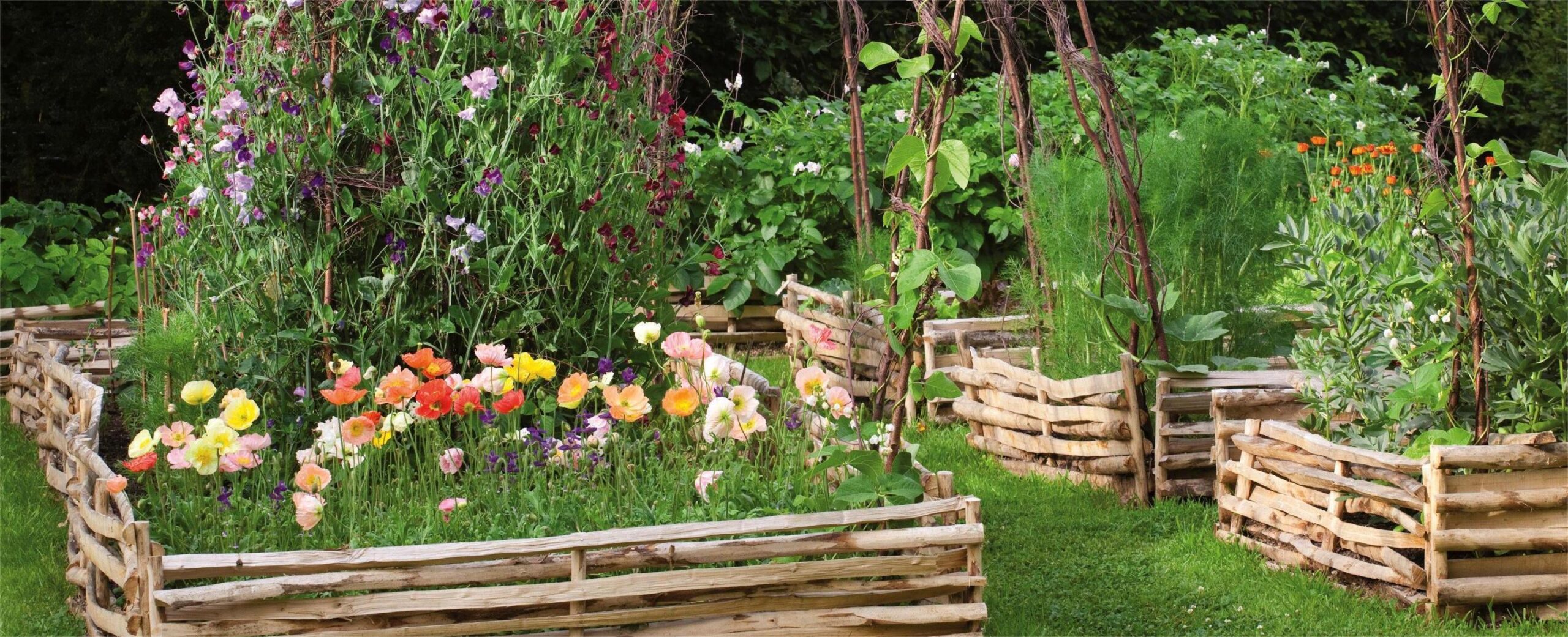 Plant Supports Shop -Plant Supports Shop chestnut edging veg patch copy scaled